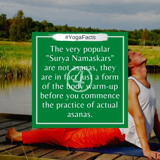 Yoga Facts Quotes